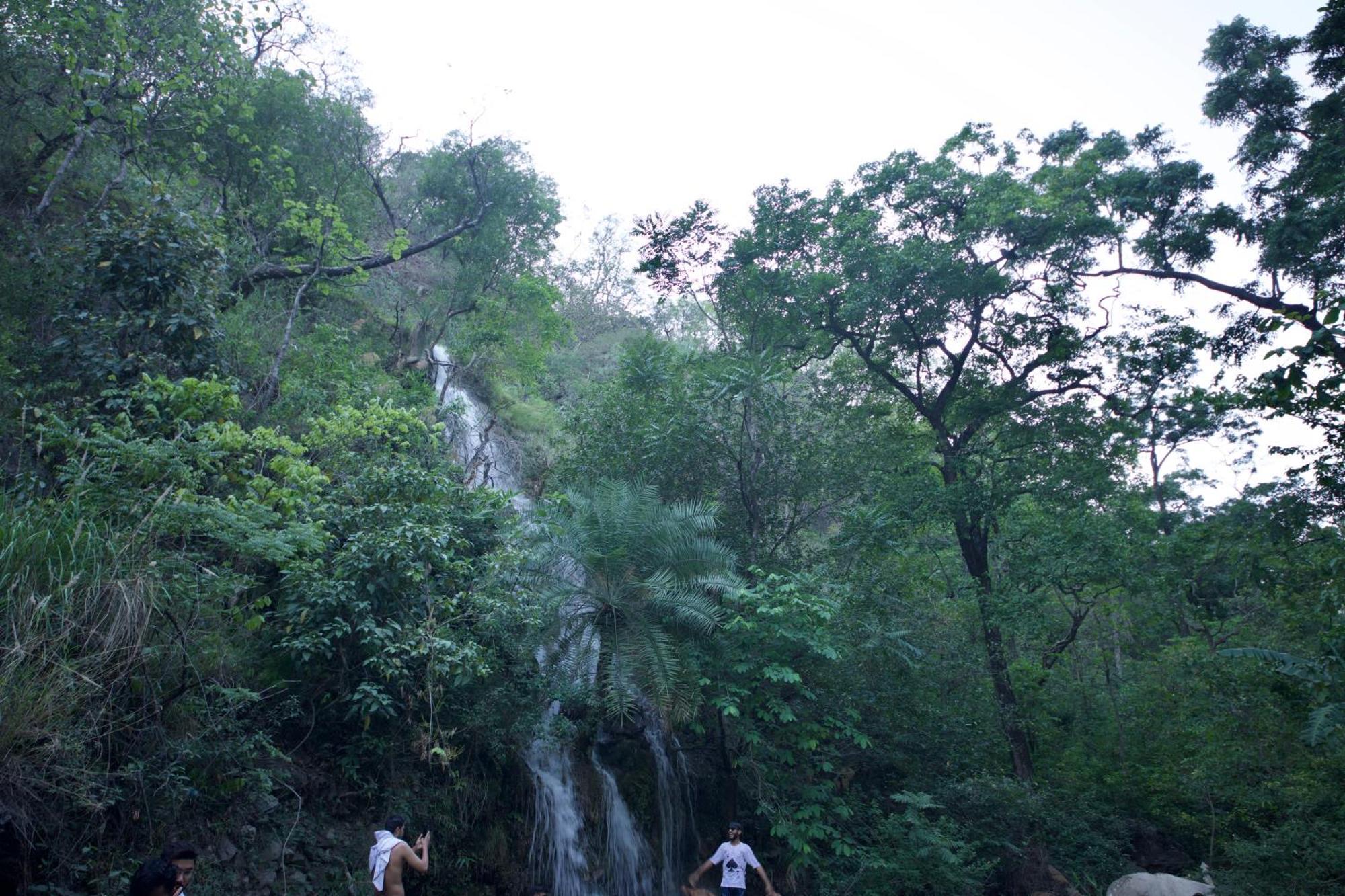 Perfect Stayz Premium Forest Valley Near Waterfall Rishīkesh Exteriör bild
