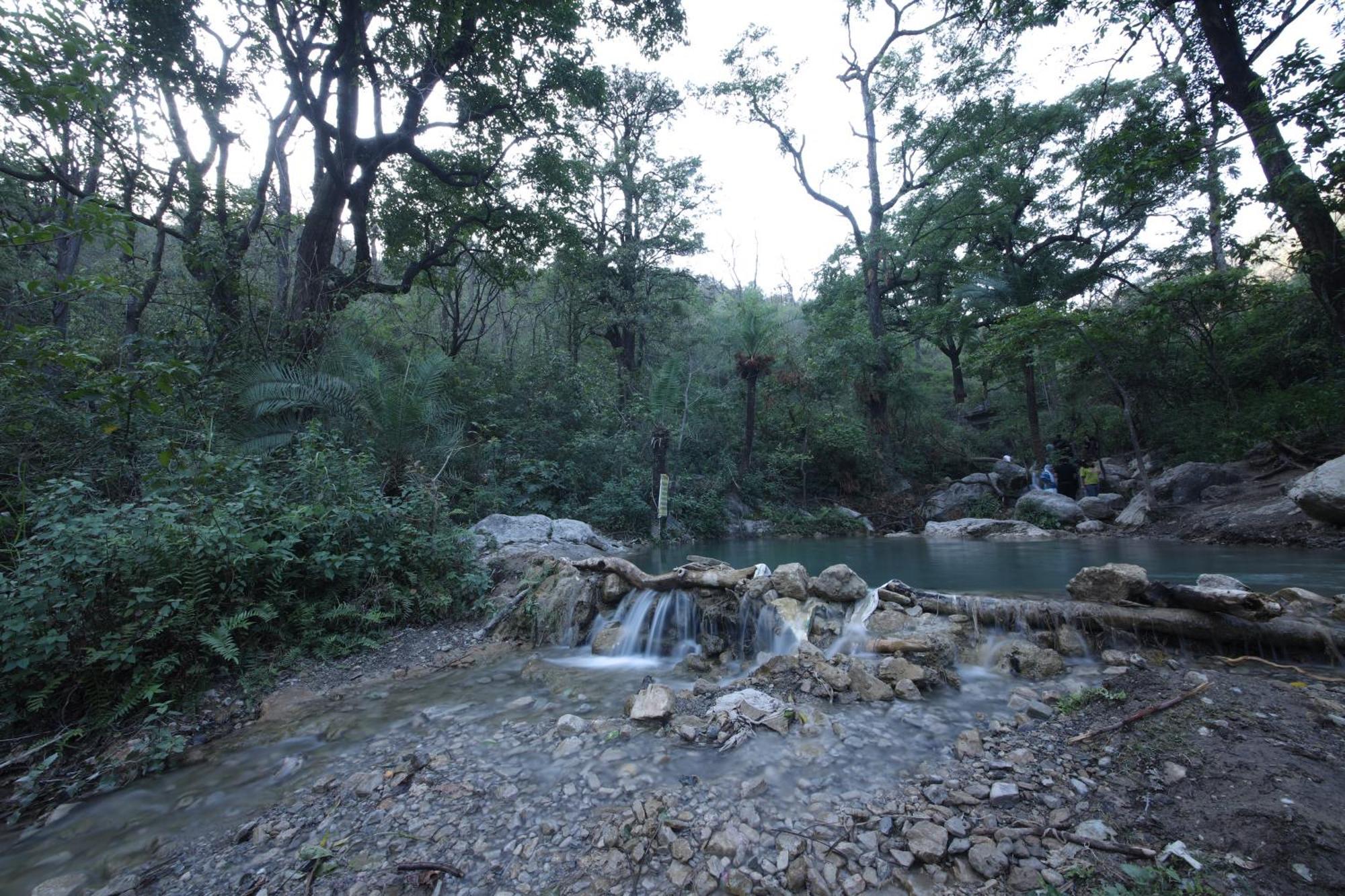 Perfect Stayz Premium Forest Valley Near Waterfall Rishīkesh Exteriör bild